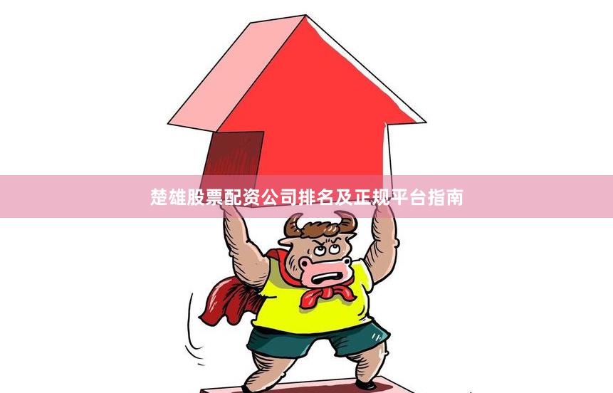 楚雄股票配资公司排名及正规平台指南