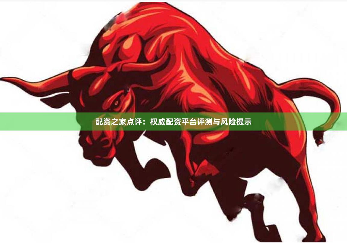 配资之家点评：权威配资平台评测与风险提示